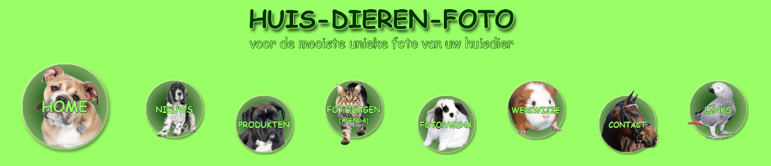 www.HUIS-DIEREN-FOTO.nl