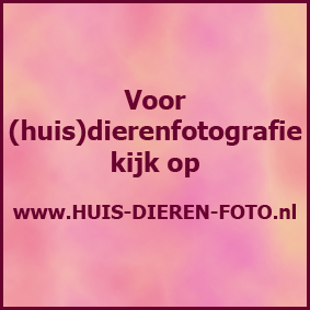 HUIS-DIEREN-FOTO