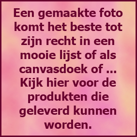 produkten